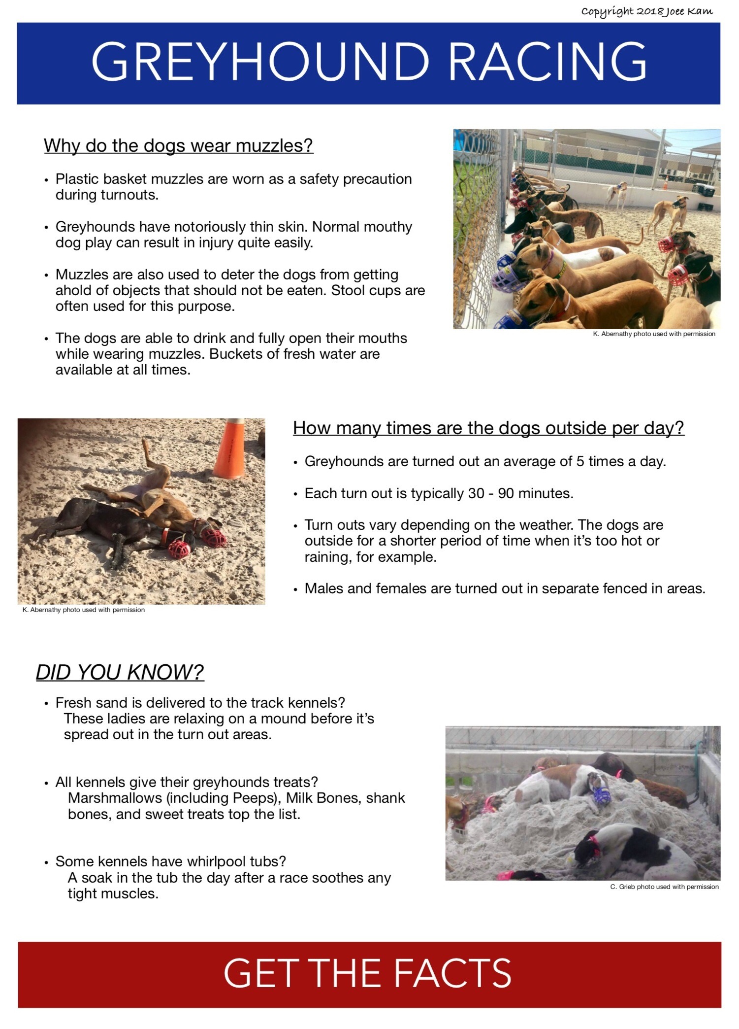 Kennel Life Greyhound Facts